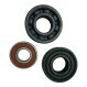 6009-ZZ-GR-CG-VT350