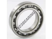 6010-C3-SKF