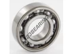 6205-C4-SKF