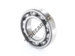 6211-C4-SKF