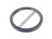 ASP-135X160X13-NBR