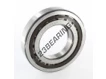 NUP213-ECP-SKF