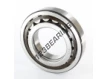 NUP213-ECP-SKF
