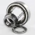 NUP304-ECP-SKF