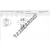 NUP304-ECP-SKF