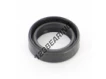 OAS-16X24X6.50-NBR