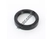 OAS-41.70X55X10-NBR
