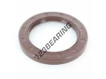 OAS-85X120X13-FPM