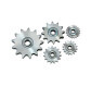 PTSA-10B-1-21