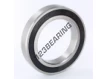 S6018-2RS-INOX